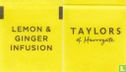 Lemon & Ginger - Image 3