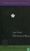 Die weisse Rose