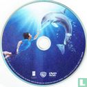 Dolphin Tale - Afbeelding 3
