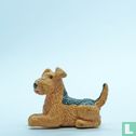 Dusty (Airedale Terrier) - Image 3