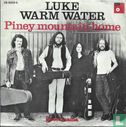 Piney Mountain Home