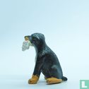 Kurt (Doberman) - Bild 3