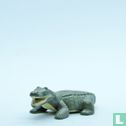 Salt Water Crocodile