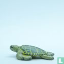 Loggerhead Turtle - Afbeelding 3