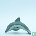 Bottlenose Dolphin - Afbeelding 2