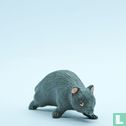 Wombat - Afbeelding 1