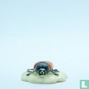 Jewel Shield Beetle - Afbeelding 1