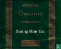 Spring Mint Tea - Bild 1