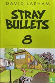 Stray Bullets 8