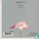 Artis: Chileense flamingo