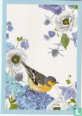 Vogel tussen bloemen - witte achtergrond  - Bild 1