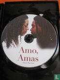 Amo, Amas