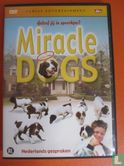 Miracle Dogs - Afbeelding 1