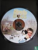 Miracle Dogs - Afbeelding 3