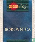 Borovnica - Image 1