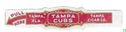 Tampa Cubs - Tampa Cigar Co. - Tampa Fla. - Afbeelding 1