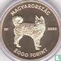 Hungary 2000 forint 2022 (PROOFLIKE) "Mudi" - Image 1