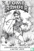 Tomb Raider: Journeys 2 - Bild 1