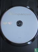 Chimpanzee - Image 3
