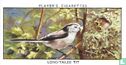 Long-Tailed Tit - Afbeelding 1