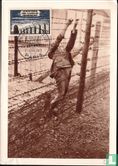 Befreiung von Konzentrationslagern - Bild 1