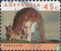 Australische Tiere  - Bild 1