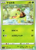 Turtwig