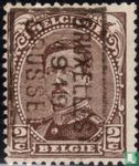 Le roi Albert I