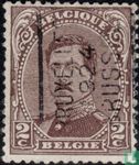 Le roi Albert I