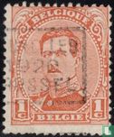 Le roi Albert I