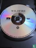 Wild Fire - Image 3