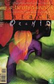 Black Orchid 20 - Image 1