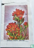 Indian Paint Brush - Image 1