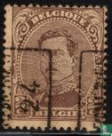 Le roi Albert I