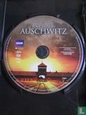 Touched bij Auschwitz - Afbeelding 3