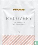Recovery - Image 1