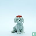 Meggie (Poodle) - Image 1