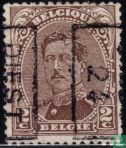 Le roi Albert I