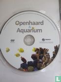Openhaard & Aquarium - Image 3