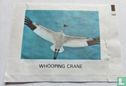 Whooping Crane - Afbeelding 1