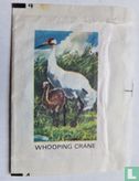 Whooping Crane - Afbeelding 1