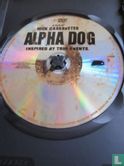 Alpha Dog - Bild 3