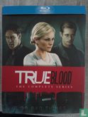 True Blood : The Complete Series - Bild 1