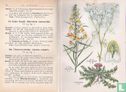 Plantenboek - Image 4