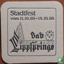 Stadtfest Bad Lippspringe - Bild 1