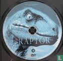 Raptor - Afbeelding 3