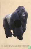 Gorilla / Gorilla (Reliëf) - Bild 1