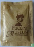 Puccini Museum, casa natale - Lucca - Image 2