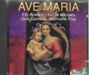 Ave Maria  - Image 1