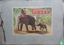 De avonturen van Tarzan - Afbeelding 1